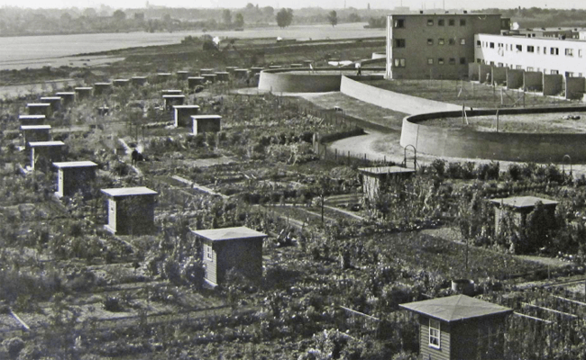 Kleingärten Römerstadt, ca. 1930, Quelle: Grünflächenamt Frankfurt