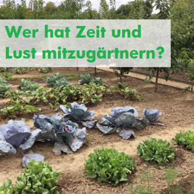 G&auml;rtnerInnen gesucht